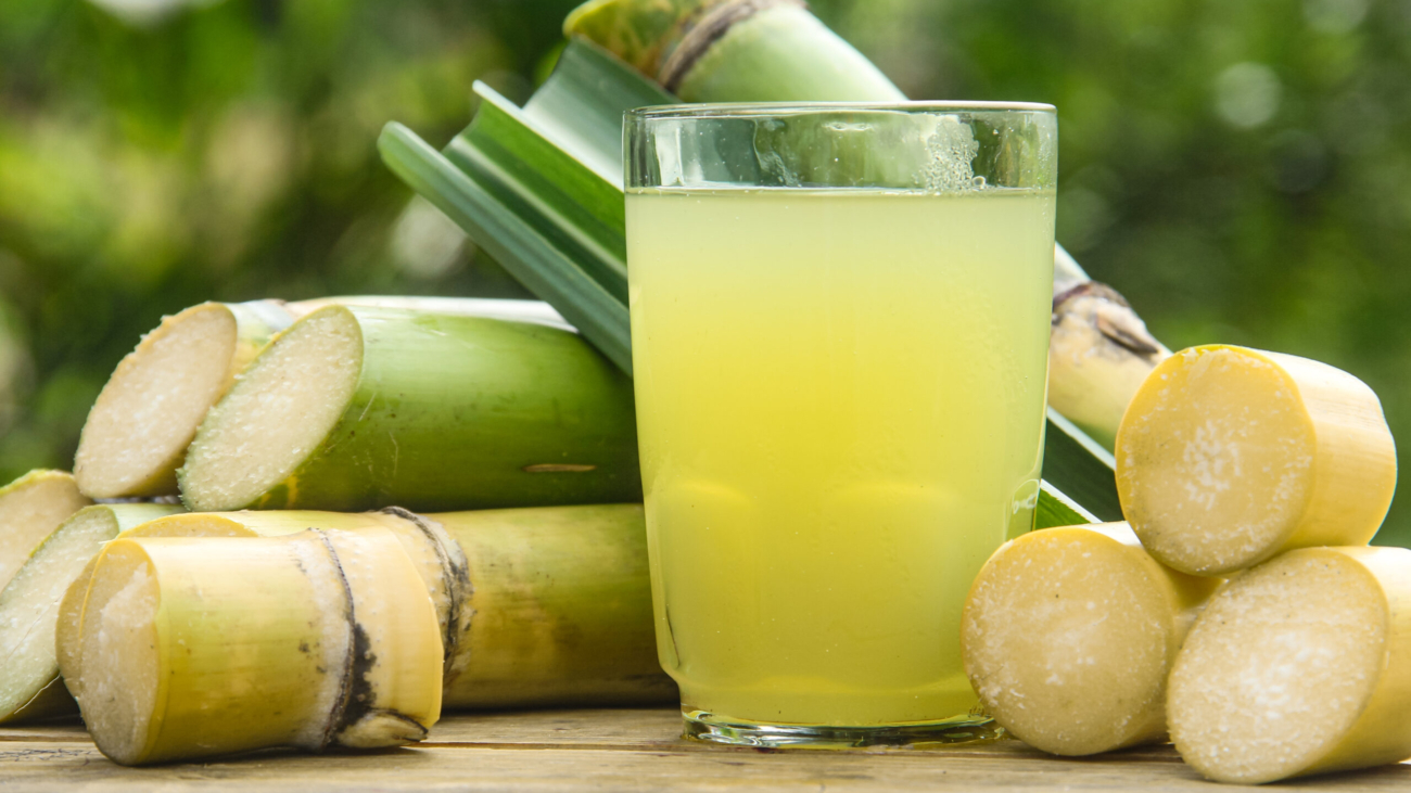 sugarcane