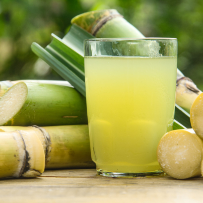 sugarcane