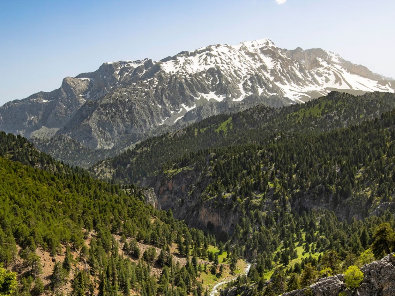 The-Ziarat-juniper-forest-in-Pakistan-believed-to-be-the-second-largest-of-its-kind-in-the-world