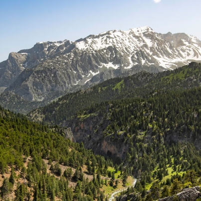 The-Ziarat-juniper-forest-in-Pakistan-believed-to-be-the-second-largest-of-its-kind-in-the-world