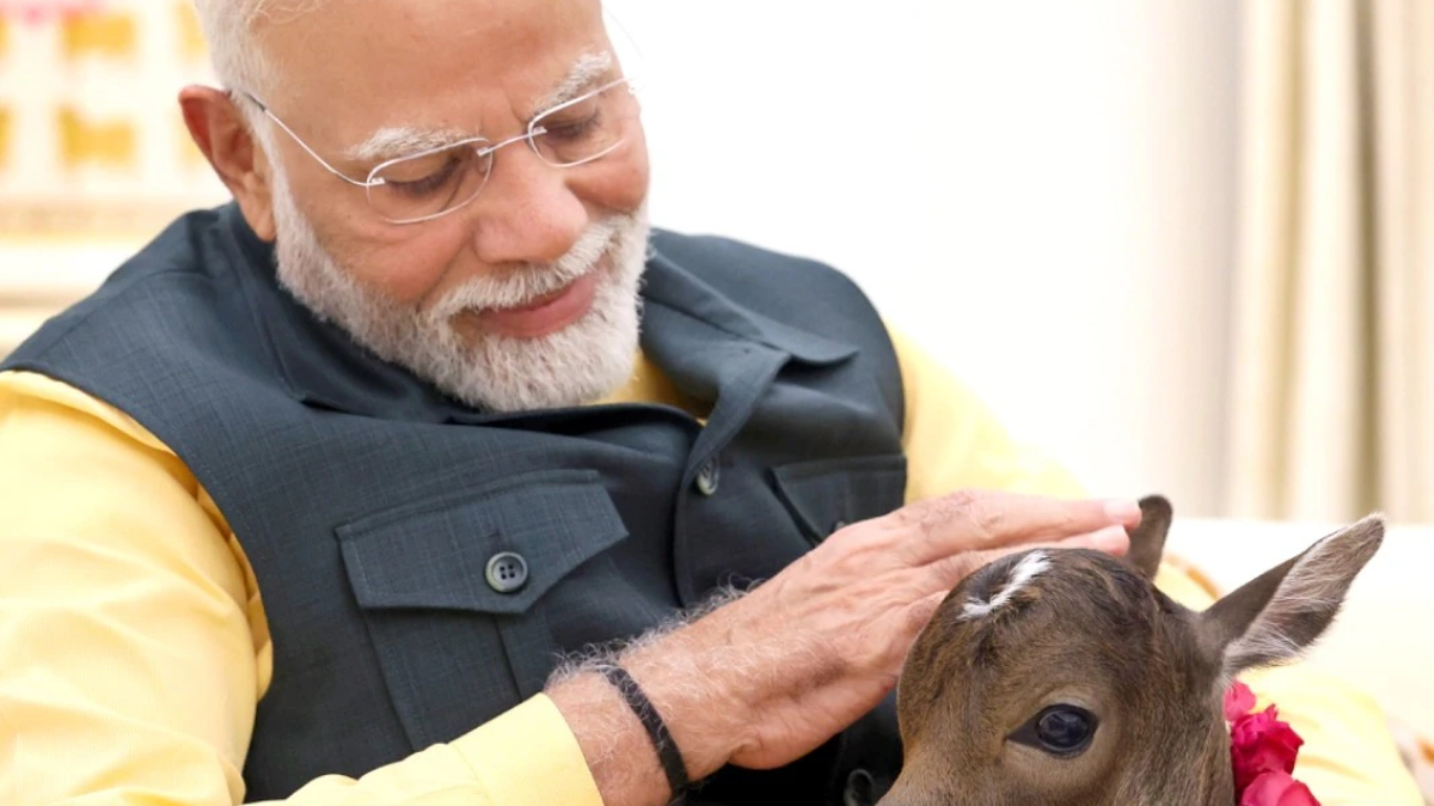 modi