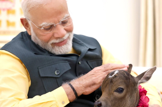 modi