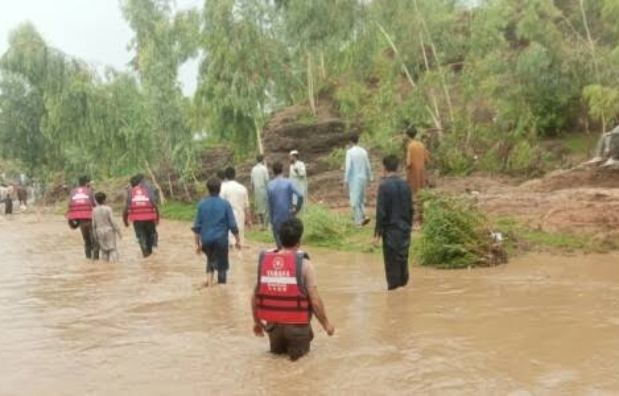 WhatsApp Image 2025-07-23 at 4.58.57 AM