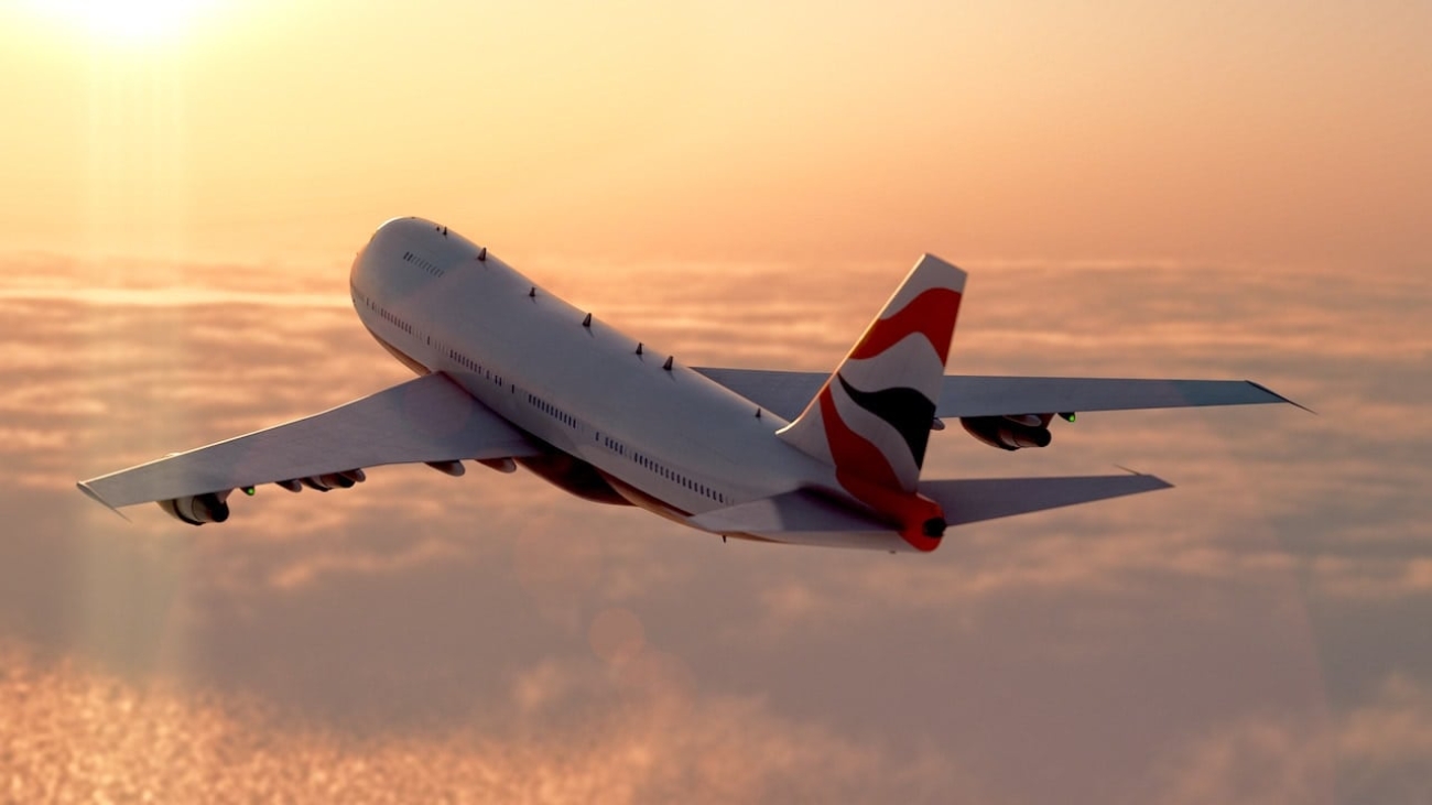 fly