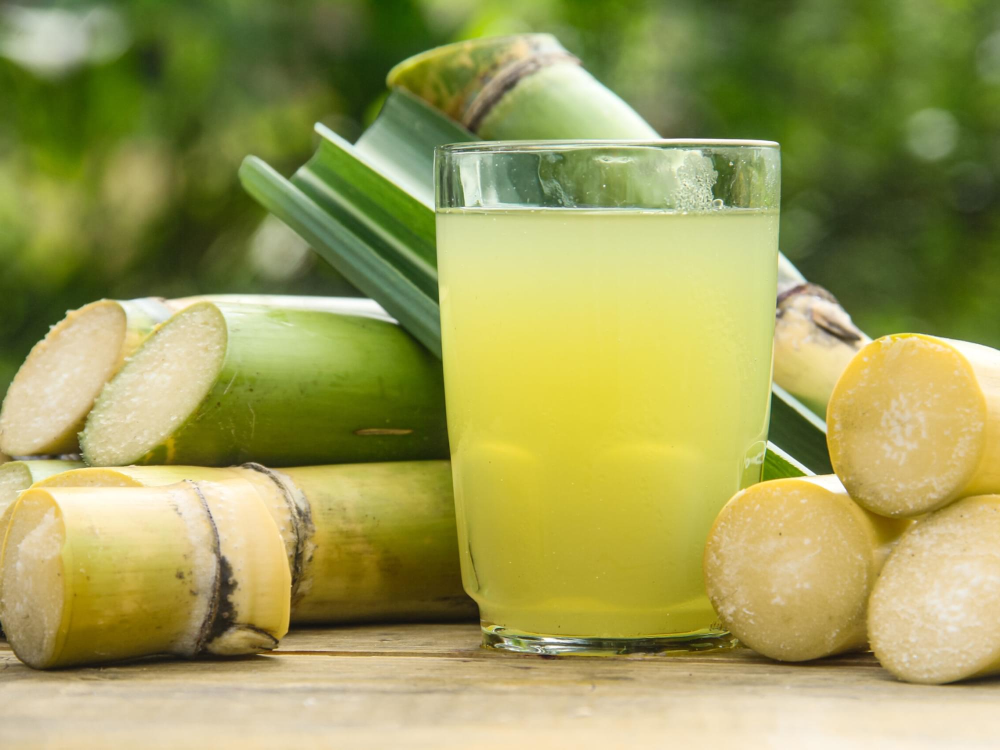 sugarcane